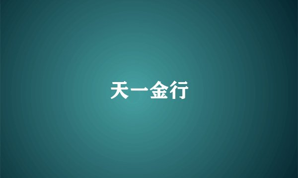 天一金行