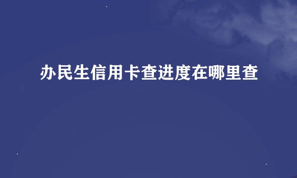 办民生信用卡查进度在哪里查