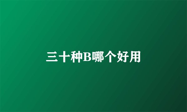 三十种B哪个好用