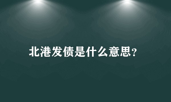 北港发债是什么意思？