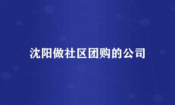 沈阳做社区团购的公司