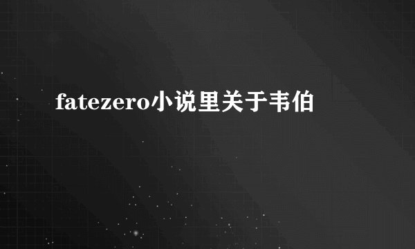 fatezero小说里关于韦伯
