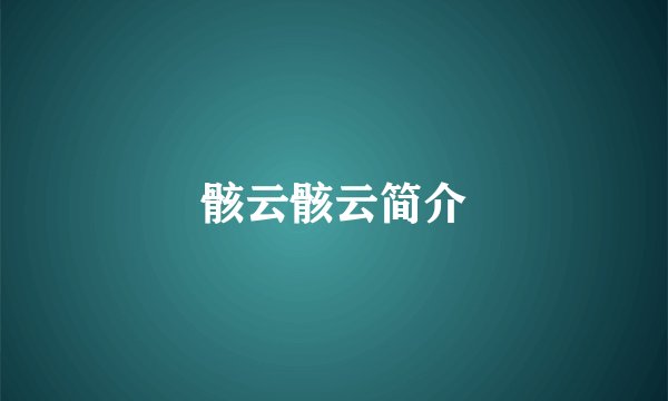 骸云骸云简介