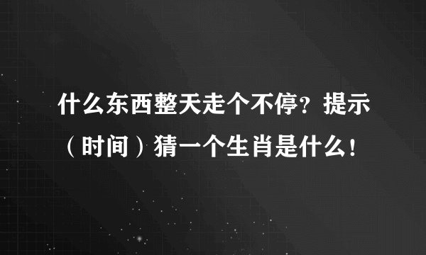 什么东西整天走个不停？提示（时间）猜一个生肖是什么！