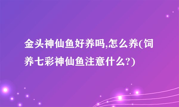 金头神仙鱼好养吗,怎么养(饲养七彩神仙鱼注意什么?)