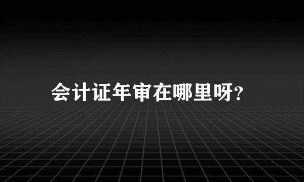 会计证年审在哪里呀？