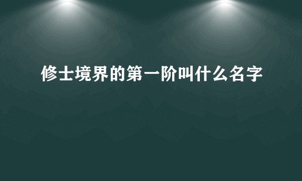 修士境界的第一阶叫什么名字