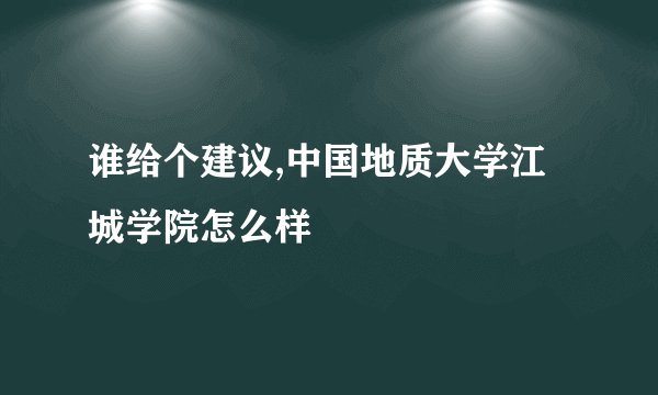 谁给个建议,中国地质大学江城学院怎么样