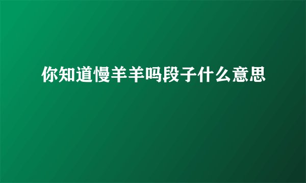 你知道慢羊羊吗段子什么意思
