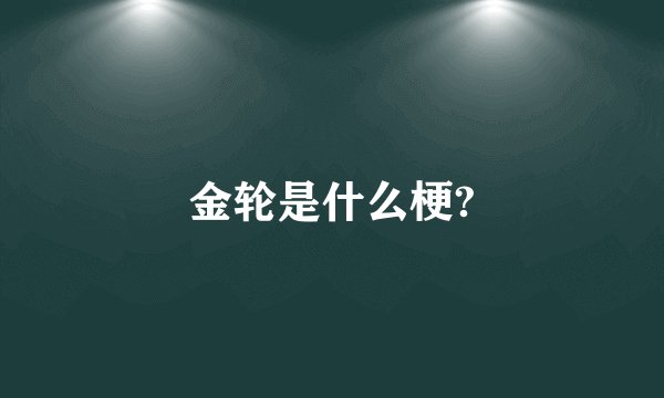 金轮是什么梗?