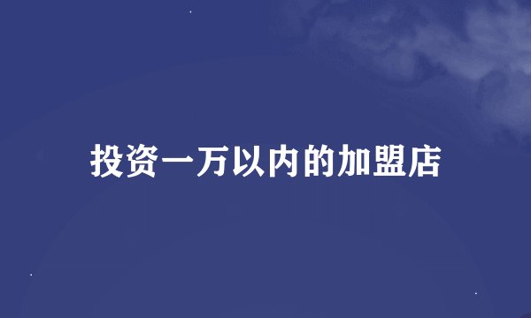 投资一万以内的加盟店