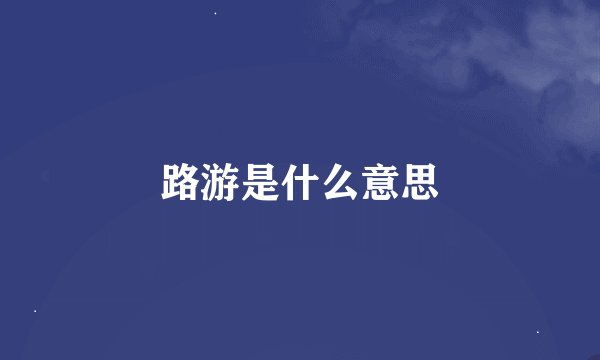 路游是什么意思
