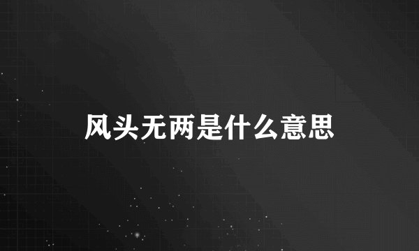 风头无两是什么意思