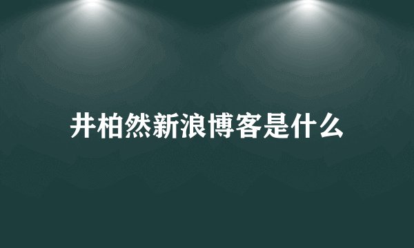 井柏然新浪博客是什么
