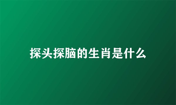 探头探脑的生肖是什么