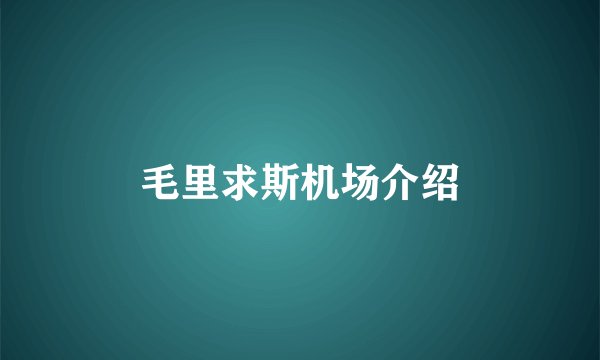毛里求斯机场介绍