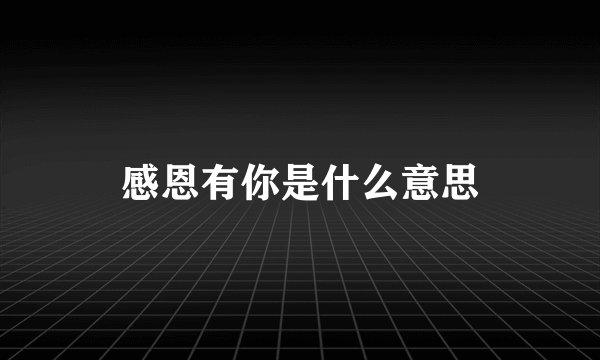 感恩有你是什么意思
