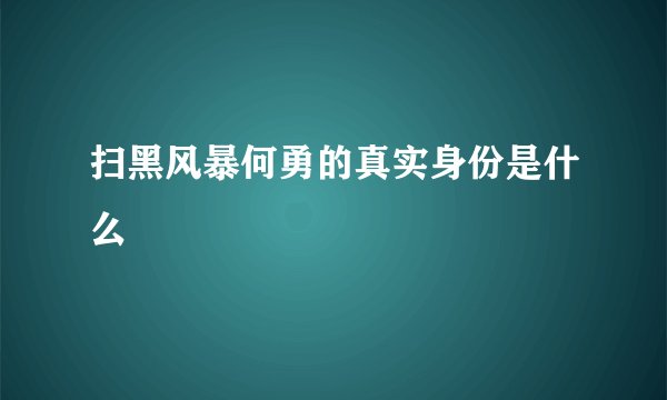 扫黑风暴何勇的真实身份是什么