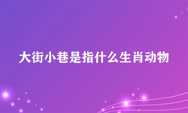 大街小巷是指什么生肖动物