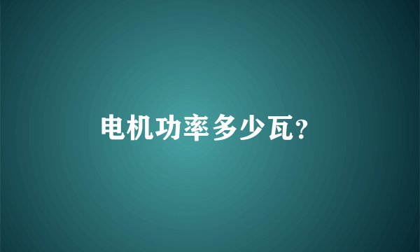 电机功率多少瓦？