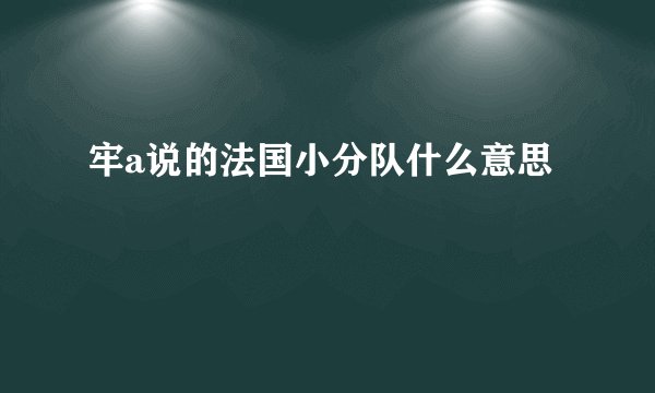 牢a说的法国小分队什么意思