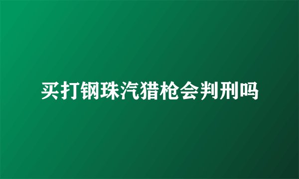 买打钢珠汽猎枪会判刑吗