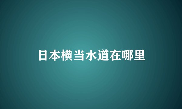 日本横当水道在哪里