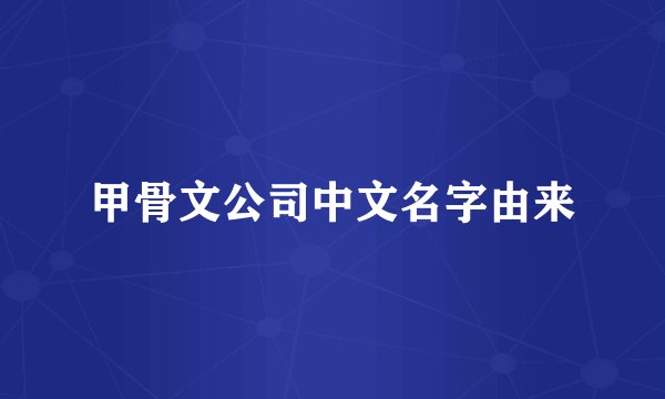 甲骨文公司中文名字由来