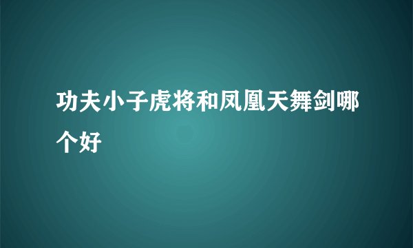 功夫小子虎将和凤凰天舞剑哪个好
