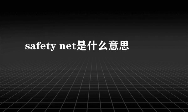 safety net是什么意思