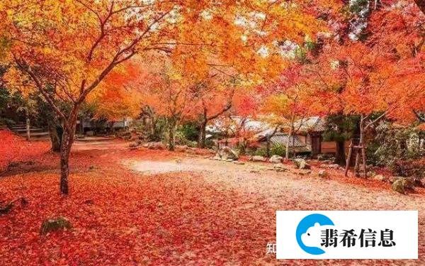 向来回首萧瑟处，无风无雨也无晴