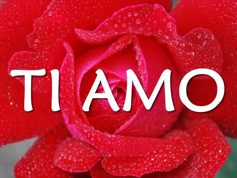 ti amo的中文意思是什么？