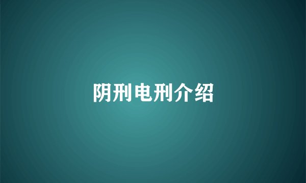 阴刑电刑介绍