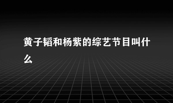 黄子韬和杨紫的综艺节目叫什么