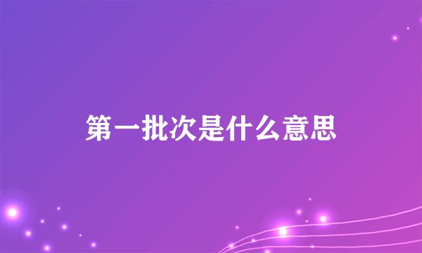 第一批次是什么意思