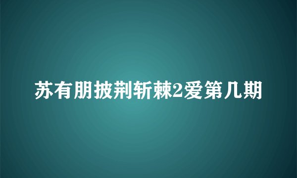 苏有朋披荆斩棘2爱第几期