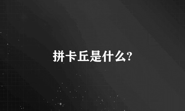 拼卡丘是什么?