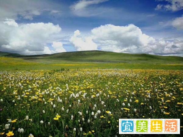 成都包车去拉萨需要多少天多少钱