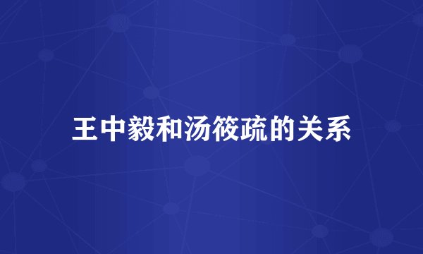 王中毅和汤筱疏的关系
