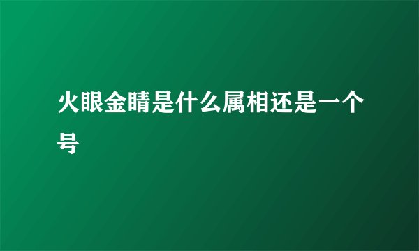 火眼金睛是什么属相还是一个号