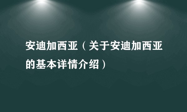 安迪加西亚（关于安迪加西亚的基本详情介绍）