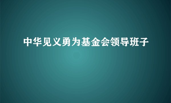 中华见义勇为基金会领导班子