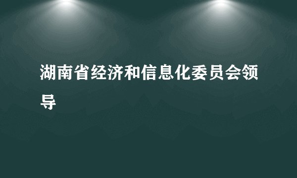 湖南省经济和信息化委员会领导