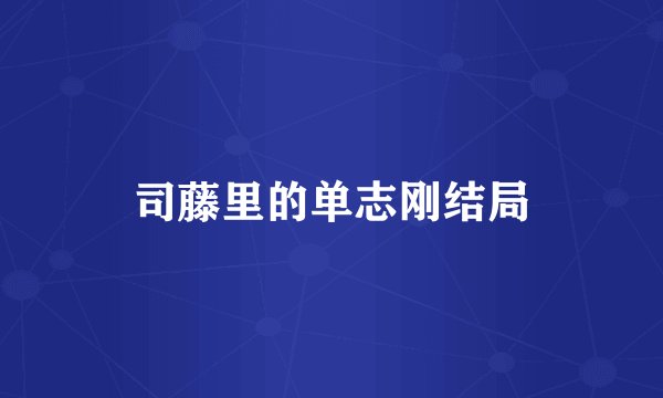 司藤里的单志刚结局