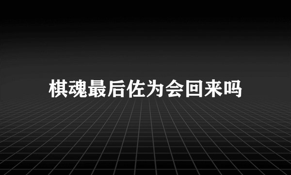 棋魂最后佐为会回来吗