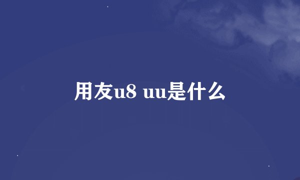 用友u8 uu是什么