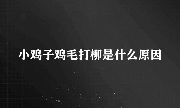 小鸡子鸡毛打柳是什么原因