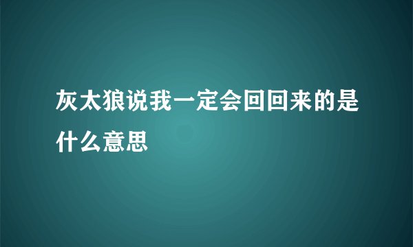 灰太狼说我一定会回回来的是什么意思