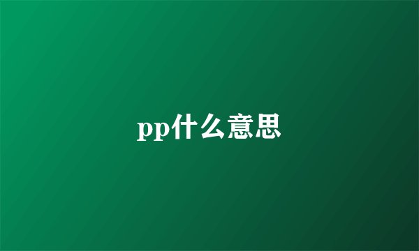 pp什么意思