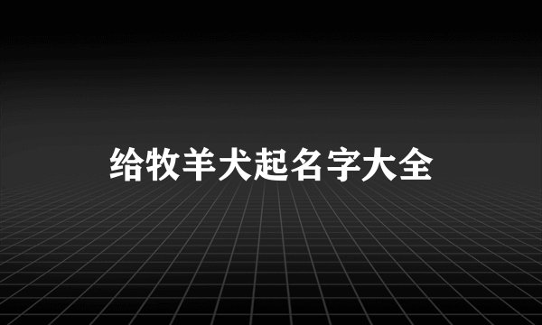 给牧羊犬起名字大全